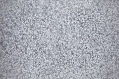 凍りついた白駒池