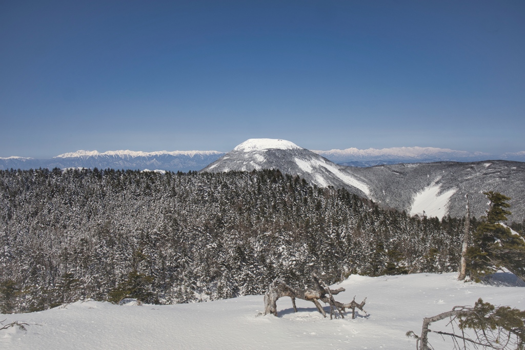 kitayoko Mar,15 2024 17