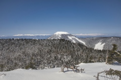 kitayoko Mar,15 2024 17