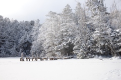 八ヶ岳ロープウェイ〜五辻〜白駒池〜茶臼山〜縞枯山〜八ヶ岳ロープウェイ