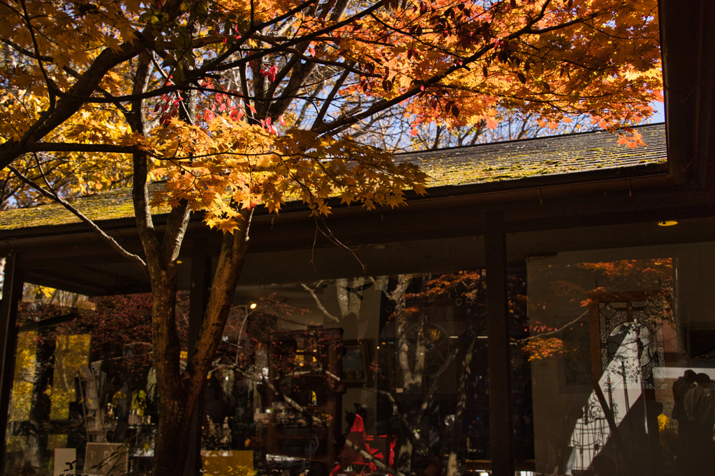 yatsugadakekurabu 05