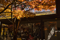 yatsugadakekurabu 05