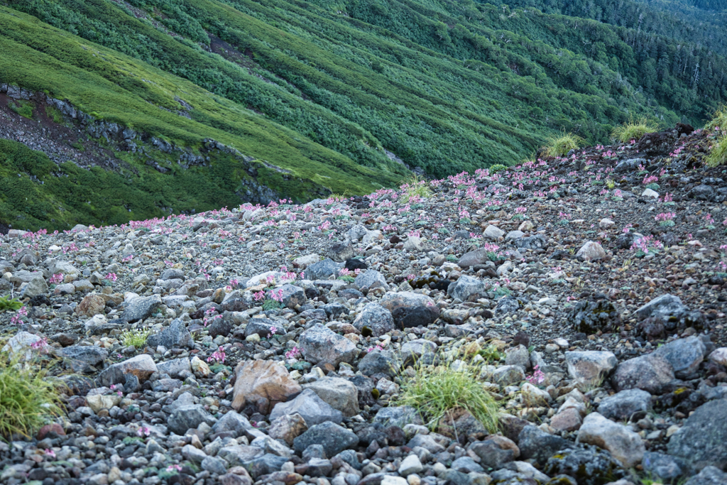 Mt.Ontake at Jul,24 2025 61