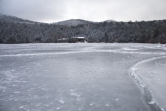 凍りついた白駒池
