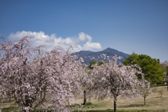mt.tsukuba16 at Apr,12 2025