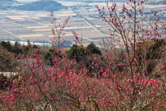 mt.tsukuba at 10-39 Dec,31 2025