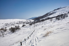 kitayoko Mar,15 2024 24