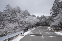 mugikusa mounten pass on root 299 Dec,22