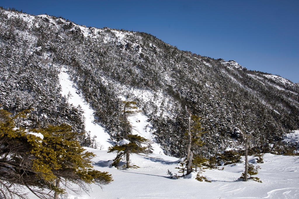 kitayoko Mar,15 2024 06