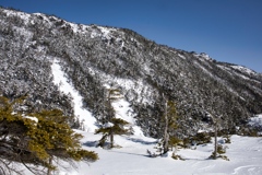 kitayoko Mar,15 2024 06