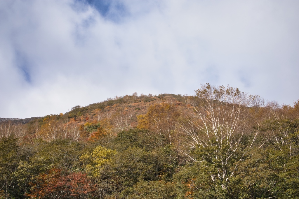 茶臼岳山道