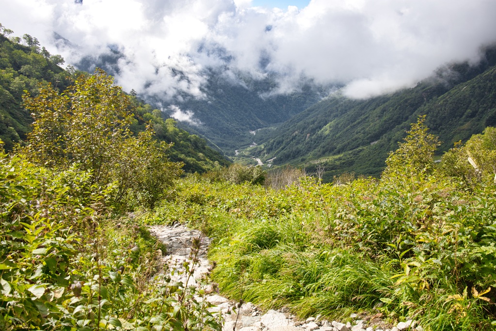 mt.sugorokudake at 8:55 Sep,13 2024