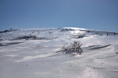 kitayoko Mar,15 2024 21