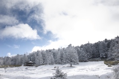 八ヶ岳ロープウェイ〜五辻〜白駒池〜茶臼山〜縞枯山〜八ヶ岳ロープウェイ