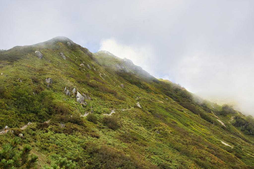 mt.sugorokudake at 11:06 Sep,13 2024