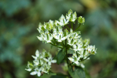 mt.tsukuba on Nov,8 2025 04