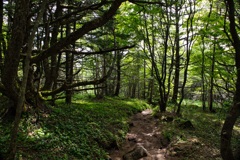 mt.yunomaruyama&eboshidake
