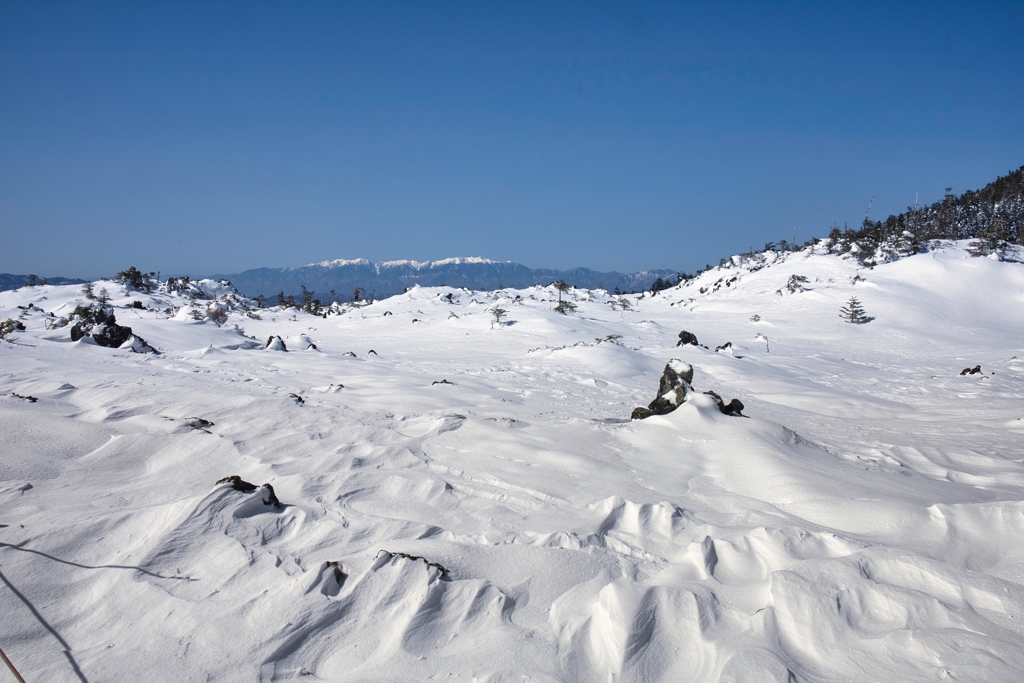 kitayoko Mar,15 2024 05