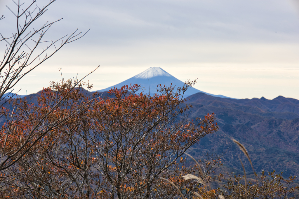 mt.yokoosan 02