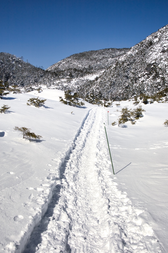 kitayoko Mar,15 2024 07