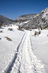 kitayoko Mar,15 2024 07