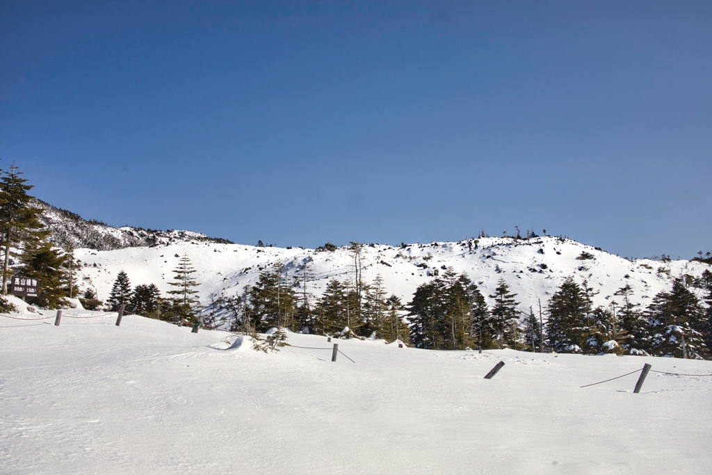 kitayoko Mar,15 2024 02