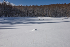 mt.yunomaruyama at 9:26 Ja,16 2026