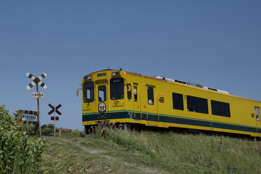 isumi railway