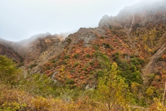 mt.cyausu12