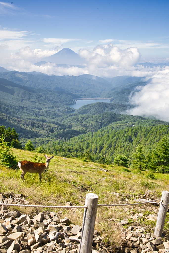 The Mountain Day in 2024(Mt.Daibosatsu)m