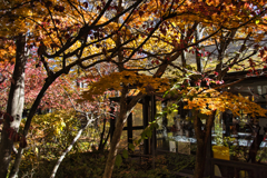 yatsugadakekurabu 03