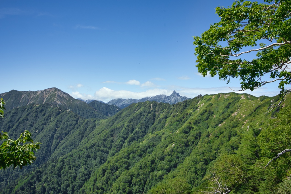 mt.tsubakuro14