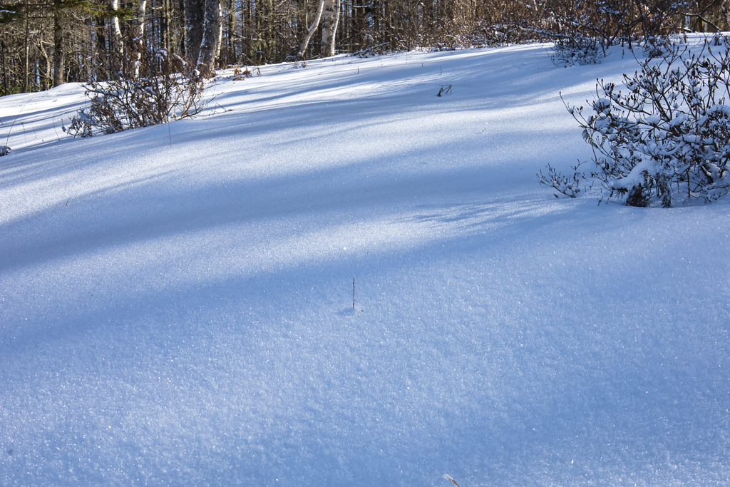 Mt.Nyukasayama on Dec,19 2025 25