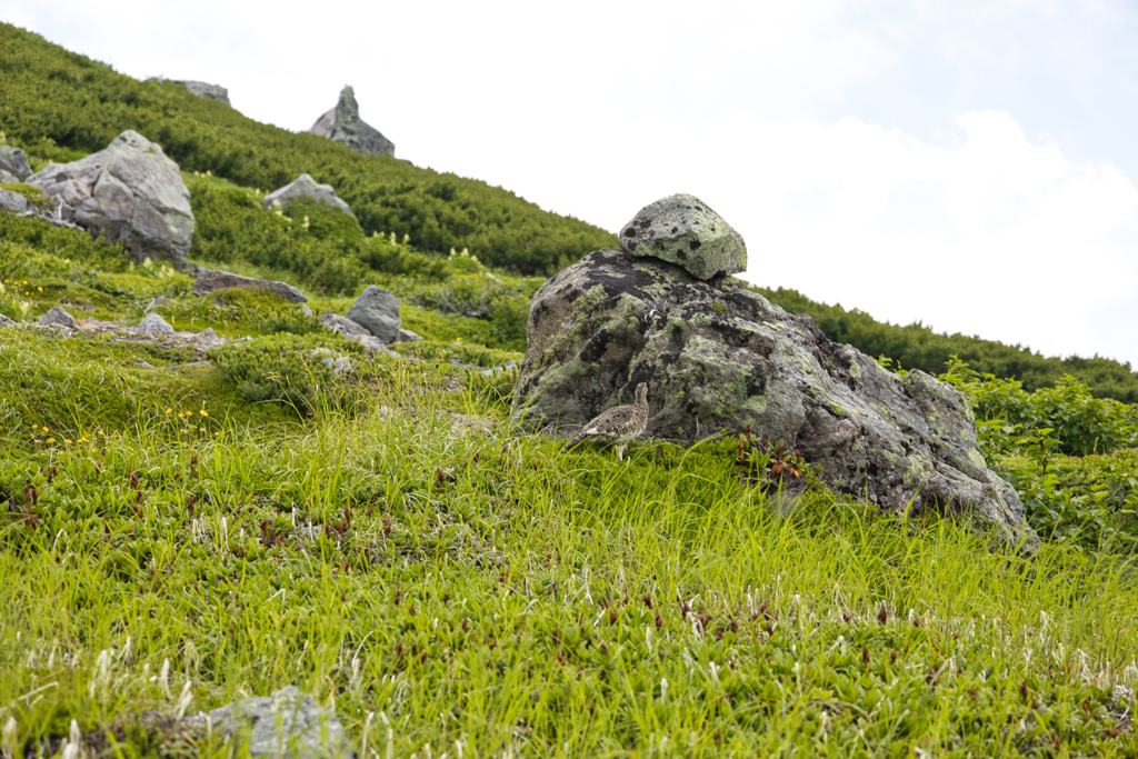 Mt.Ontake at Jul,24 2025 33