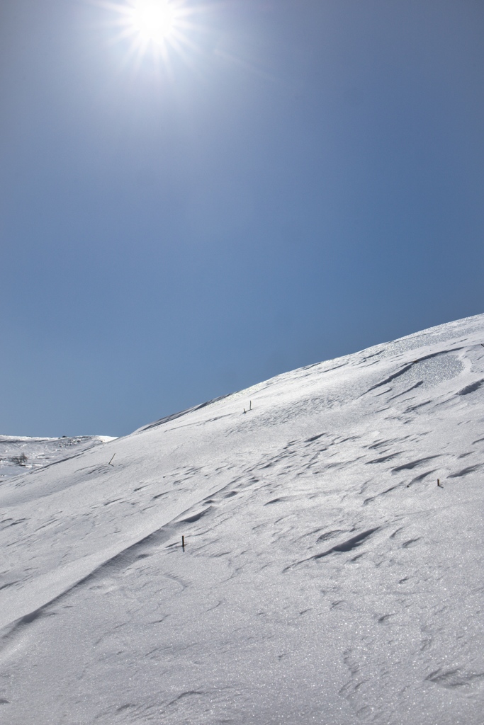 kitayoko Mar,15 2024 23