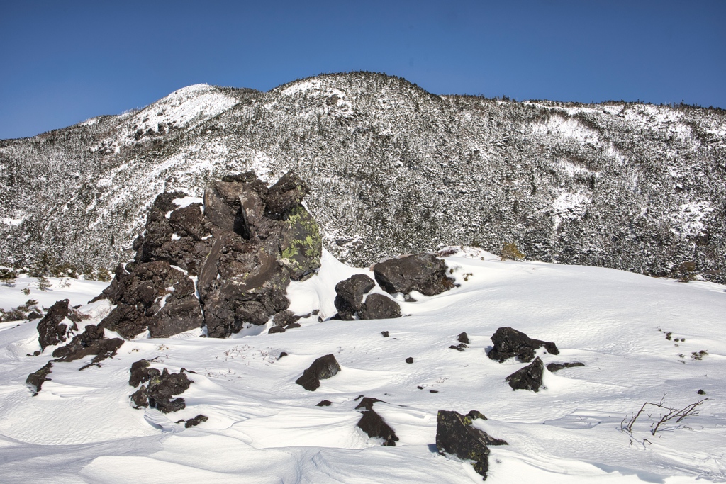 kitayoko Mar,15 2024 04