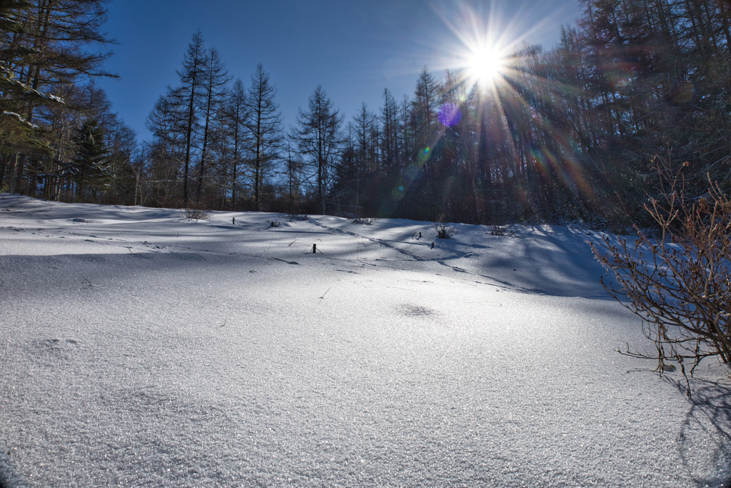 Mt.Nyukasayama on Dec,19 2025 27