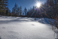 Mt.Nyukasayama on Dec,19 2025 27