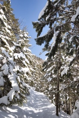 kitayoko Mar,15 2024 09