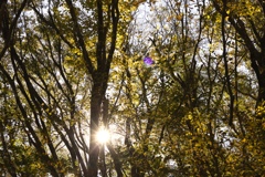 mt.tsukuba at 9:27 Nov,16 2024