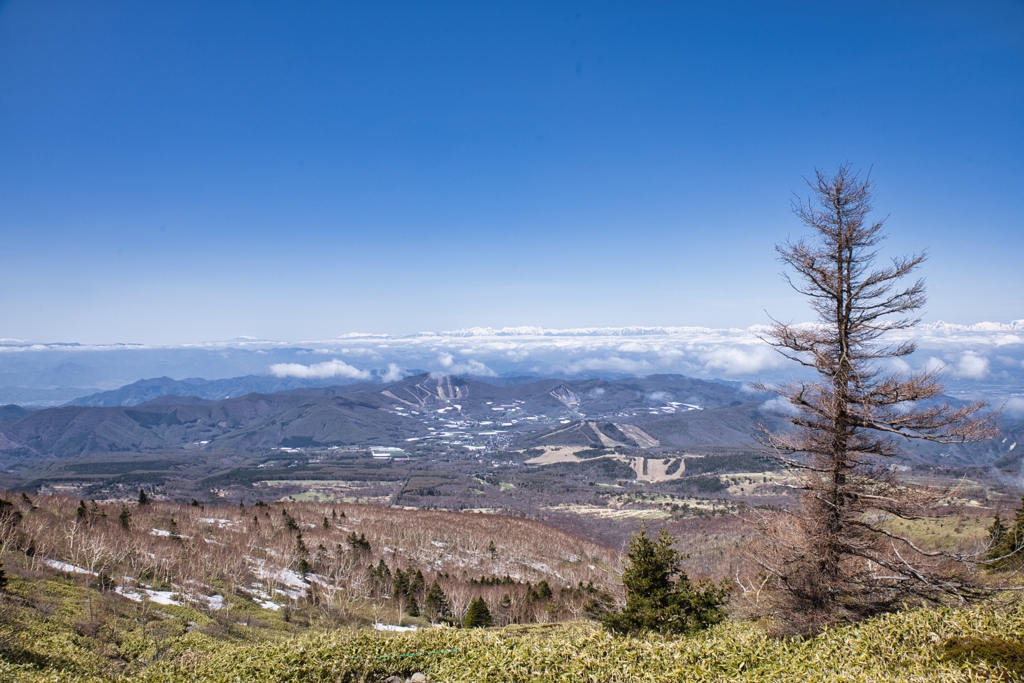 mt.nekodake at May,3 2025 10