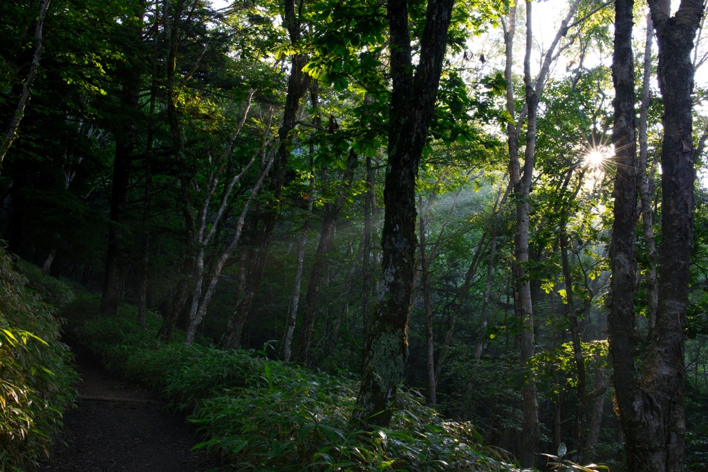 The Mountain Day in 2024(Mt.Daibosatsu)m
