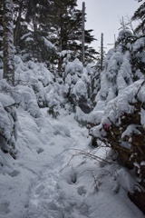 北八ツ山頂駅〜白駒荘〜高見石〜丸山〜北八ツ山頂駅