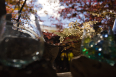 yatsugadakekurabu 10