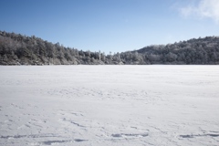八ヶ岳ロープウェイ〜五辻〜白駒池〜茶臼山〜縞枯山〜八ヶ岳ロープウェイ