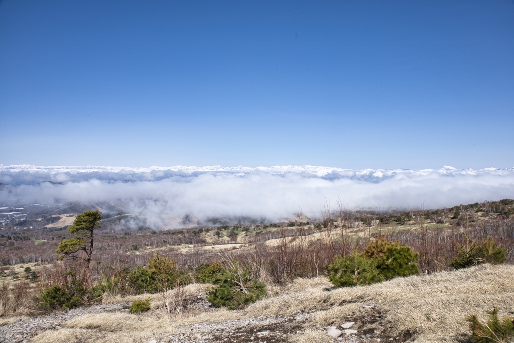 mt.nekodake at May,3 2025 01