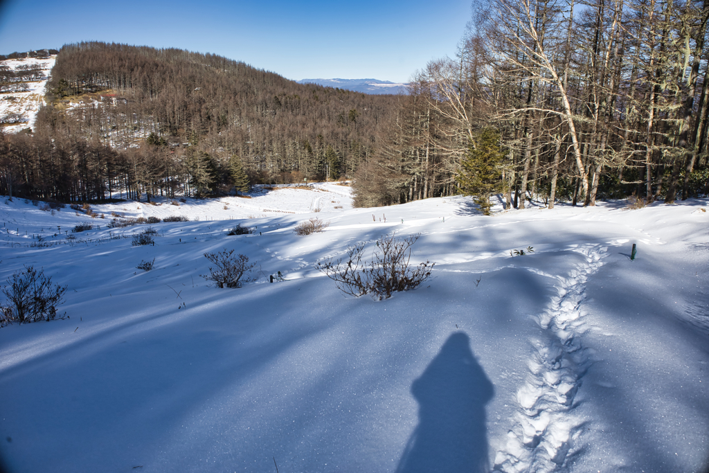 Mt.Nyukasayama on Dec,19 2025 26