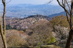 mt.tsukuba3 at Apr,12 2025