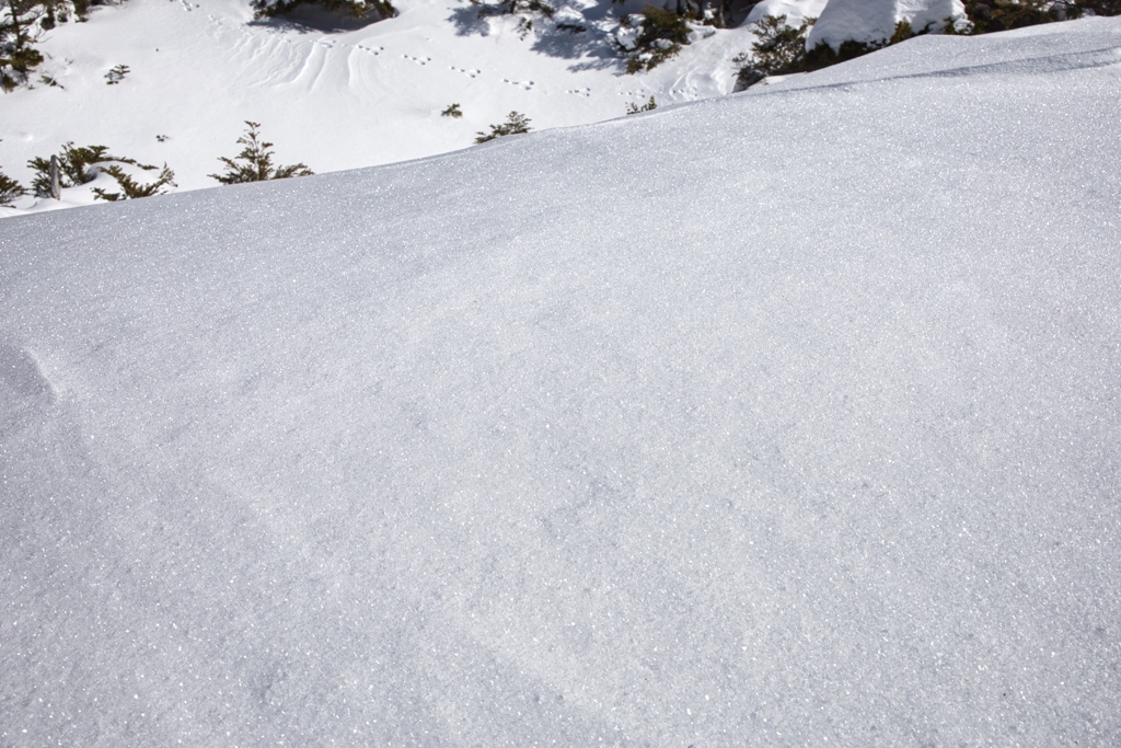 kitayoko Mar,15 2024 08