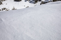 kitayoko Mar,15 2024 08